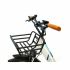 Bicicletă Electrică Smartgyro SUNSET Alb 250 W