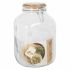 Staniu Borgonovo Primizie Bambus 4,25L 14,5 x 14,5 x 26 cm (6 Unități) (4,25 L)