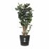 Ghiveci Elho Negru Plastic Rotund Modern Ø 47 cm