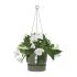 Jardinieră suspendată Elho Greenville Ø 23,9 x 20,3 cm Verde