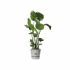 Ghiveci Elho Greenville Ø 24,48 cm Plastic
