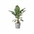 Ghiveci Elho Greenville Ø 24,48 cm Plastic