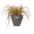 Ghiveci Elho Ø 55 cm Negru Plastic Rotund Modern