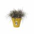 Ghiveci Elho Loft Urban 25 Galben Ø 24,5 x 22,2 cm