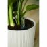 Ghiveci Elho   Ø 22 cm Alb Plastic Rotundă