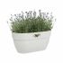 Ghiveci Elho 3662603645100 Alb Plastic Dreptunghiular Modern 24 x 36 x 26,5 cm