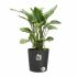 Ghiveci Elho Plastic Rotund Modern