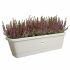 Ghiveci Elho Alb 20 x 65 x 17 cm Gri Plastic Pătrat