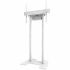 Suport de Perete Neomounts AFP-875WH Alb