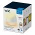 Bec Inteligent Philips 929002690301 9 W Modern 2200K 6500 K