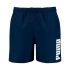 Costum de Baie Bărbați Puma 701232026 001