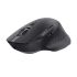 Mouse Fără Fir Trust 24820 Negru 3200 DPI