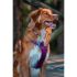 Ham pentru câini Red Dingo Dingo 47-73 cm 56-80 cm Mov L
