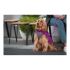 Haină pentru câine Red Dingo Puffer 50 cm Roz/Mov