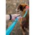 Lesă pentru câine Red Dingo Turquoise