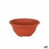 Ghiveci Dem Greentime Rotundă Bol Maro ø 20 x 9 cm (12 Unități)