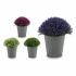 Plantă decorativă Ibergarden A18124-91 Plastic 14 x 15 x 14 cm (12 Unități)