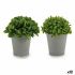 Plantă decorativă Ibergarden A18124-128-1 Plastic 13 x 17 x 13 cm (12 Unități)