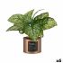 Plantă decorativă Ibergarden Home Metal Plastic Doză 26 x 26 x 26 cm Cupru (6 Unități)