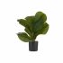 Plantă decorativă Ibergarden HY2-100 Plastic 9,5 x 42 x 9,5 cm (6 Unități)