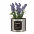 Plantă decorativă Ibergarden Metal Plastic Doză Lavandă 10 x 18 x 10 cm (6 Unități)