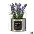 Plantă decorativă Ibergarden Metal Plastic Doză Lavandă 10 x 18 x 10 cm (6 Unități)