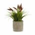 Plantă decorativă Ibergarden XD171059 Plastic Spic (de grâu) 12 x 30 x 12 cm (8 Unități)