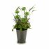 Plantă decorativă Ibergarden XD16-819 Plută Plastic Flori Câmp 20 x 41 x 20 cm (6 Unități)