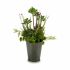 Plantă decorativă Ibergarden XD16-819 Plută Plastic Flori Câmp 20 x 41 x 20 cm (6 Unități)