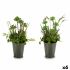 Plantă decorativă Ibergarden XD16-819 Plută Plastic Flori Câmp 20 x 41 x 20 cm (6 Unități)