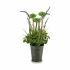 Plantă decorativă Ibergarden XD16-818 Metal Plastic Lavandă 13 x 40 x 13 cm (12 Unități)