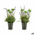 Plantă decorativă Ibergarden XD16-818 Metal Plastic Lavandă 13 x 40 x 13 cm (12 Unități)