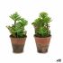 Plantă decorativă Ibergarden XD16-849 Plastic Suculent 16 x 23 x 16 cm (12 Unități)