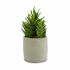 Plantă decorativă Ibergarden YCX17941 Plastic Suculent 12 x 24 x 12 cm (6 Unități)