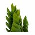 Plantă decorativă Ibergarden YCX17941 Plastic Suculent 12 x 24 x 12 cm (6 Unități)