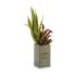 Plantă decorativă Ibergarden Flowers Garden 10 x 50 x 10 cm Maro Verde (4 Unități)