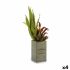 Plantă decorativă Ibergarden Flowers Garden 10 x 50 x 10 cm Maro Verde (4 Unități)