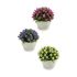 Plantă decorativă Ibergarden A16120-094 Plastic Květiny 14 x 12,5 x 14 cm (12 Unități)