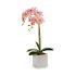 Plantă decorativă Ibergarden A18124-50-2WH Plastic Orhidee 18 x 47 x 14 cm (6 Unități)