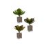 Plantă decorativă Ibergarden YD0001 Plastic Frunze Mare 27 x 29 x 27 cm Bicolor (6 Unități)
