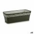 Jardinieră cu auto-udare Stefanplast Cloe Antracit Plastic 49,5 x 17 x 19 cm (12 Unități)