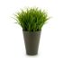 Plantă decorativă Ibergarden S18064 Plastic 11 x 18 x 11 cm (12 Unități)