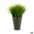 Plantă decorativă Ibergarden S18064 Plastic 11 x 18 x 11 cm (12 Unități)