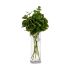 Ramură Ibergarden YD120128 Verde Plastic 75 cm Frunze (12 Unități)