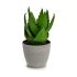 Plantă decorativă Ibergarden YC184573 Plastic Aloe Vera 15 x 23,5 x 15 cm (6 Unități)
