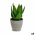 Plantă decorativă Ibergarden YC184573 Plastic Aloe Vera 15 x 23,5 x 15 cm (6 Unități)