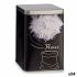 Staniu Kinvara W7067-2 Negru 1 L Făină (24 Unități)