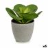 Plantă decorativă Ibergarden YC184572 Plastic 18 x 18,5 x 18 cm (6 Unități)