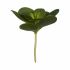 Plantă decorativă Ibergarden YD180205 Plastic Frunze Rotundă 18 x 23 x 18 cm (6 Unități)