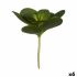 Plantă decorativă Ibergarden YD180205 Plastic Frunze Rotundă 18 x 23 x 18 cm (6 Unități)